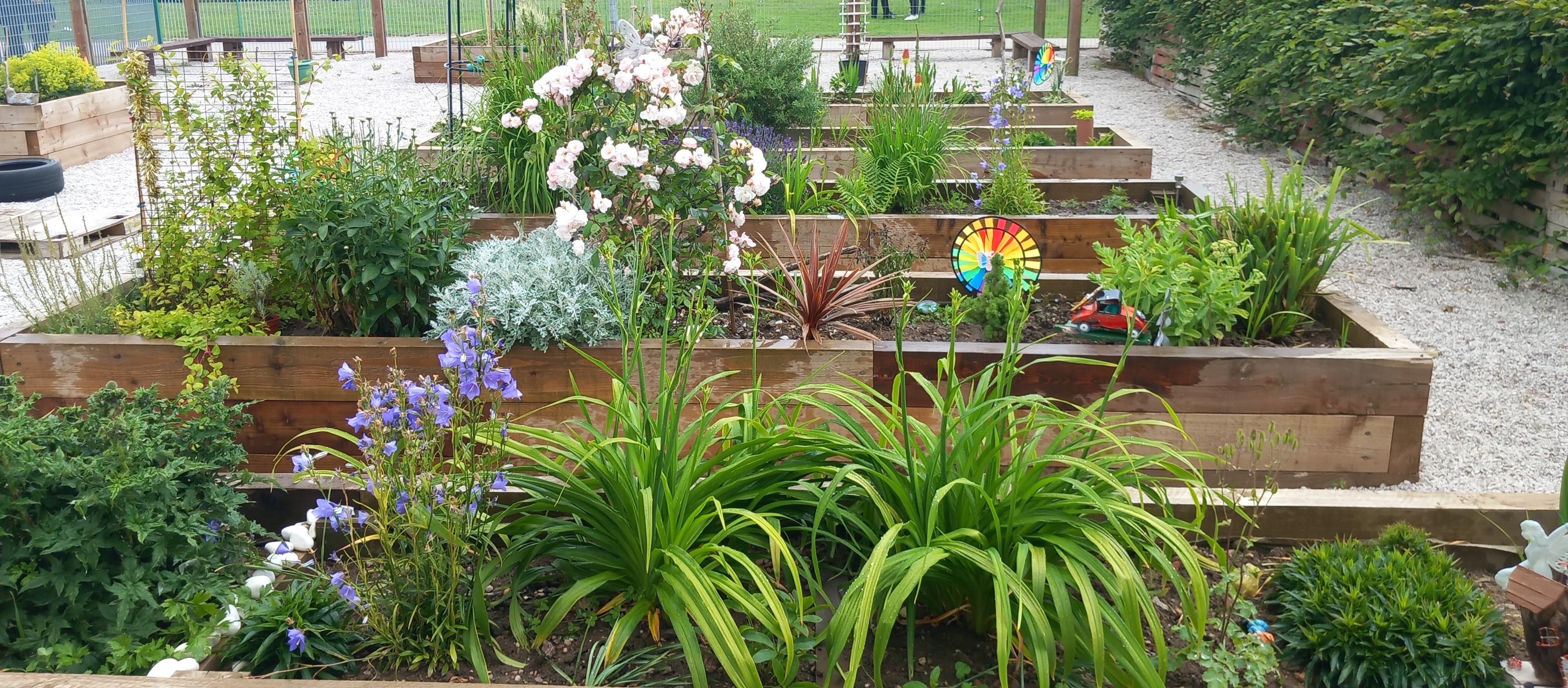 Noel Baker senosry garden website